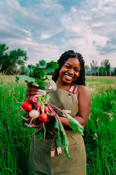 Why Agriculture is better than Crude oil