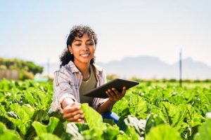 Why Farmers are better than Traders