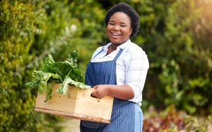 Why Farmers are better than traders