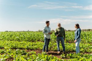 Why Agriculture is better than Crude oil