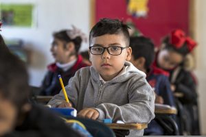 Why boys are more intelligent than girls