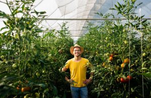 Why Farmers are better than teachers